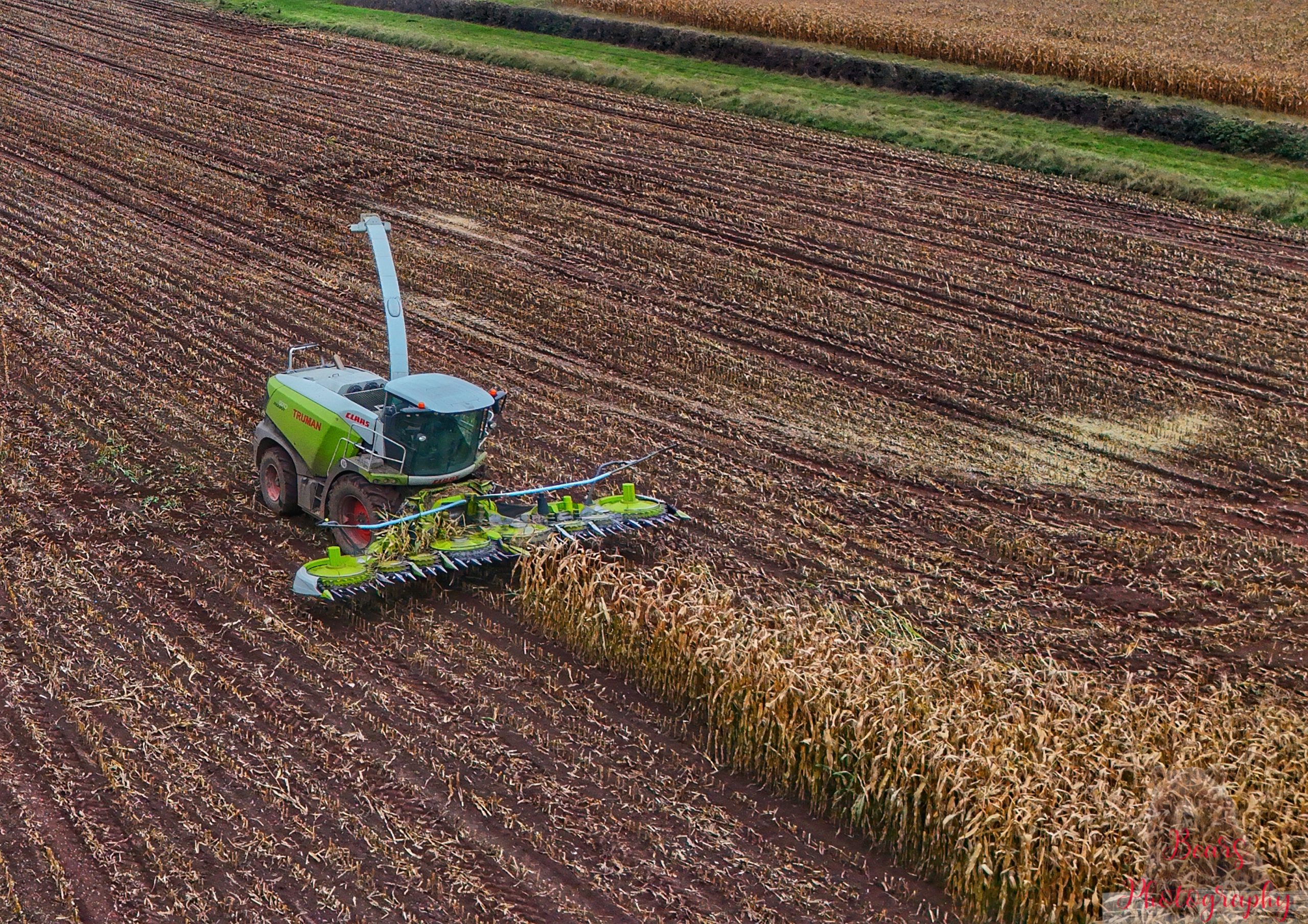 Agriculture